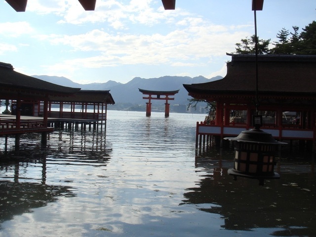 DSC06556.JPG